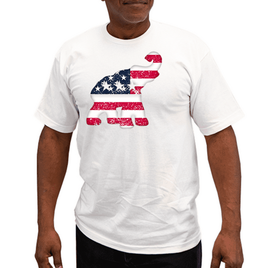 Stars and Stripes Logo T-Shirt